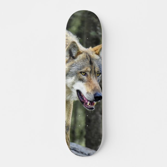 Skateboard Depredador lobo gris observando (Vorne)
