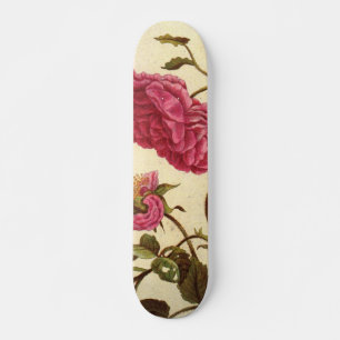 Skateboard der niederländischen Rose