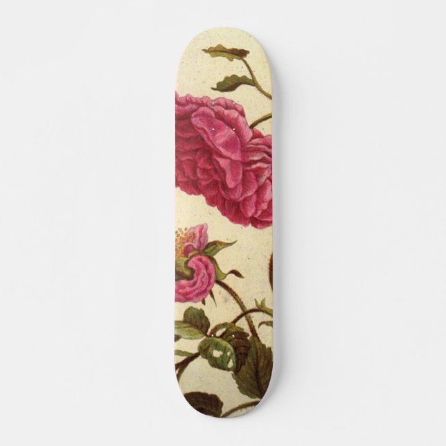 Skateboard der niederländischen Rose (Vorne)