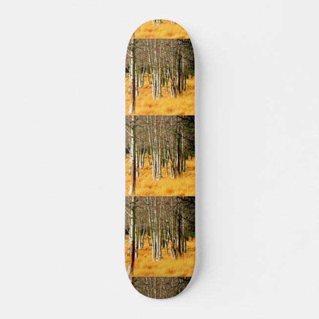 Skateboard für Aspen (Vorne)