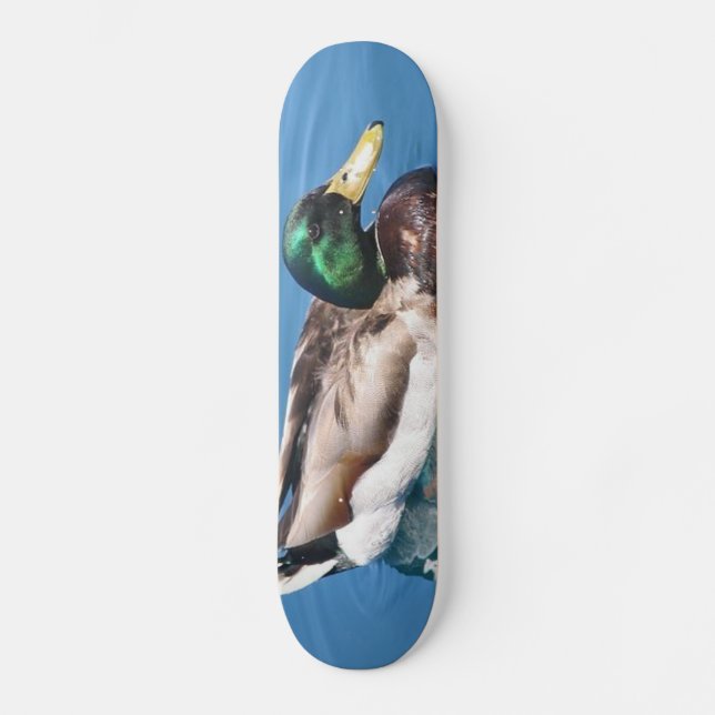 Skateboard für männliche Enten (Vorderseite)