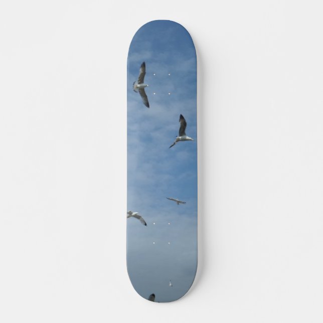 Skateboard für Seagulls (Vorne)