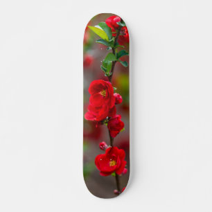 Skateboard für Skateboard