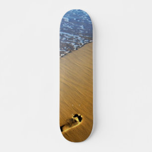 Skateboard für Strandspaziergänge