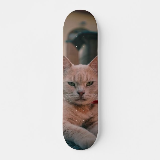 Skateboard Gato atigrado naranja con seria actitud (Vorne)
