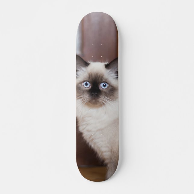 Skateboard Gato peludo de raza ragdoll (Vorne)
