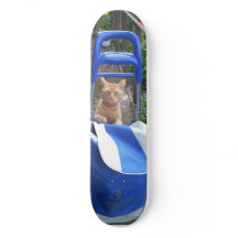 Skateboard Ginger Cat