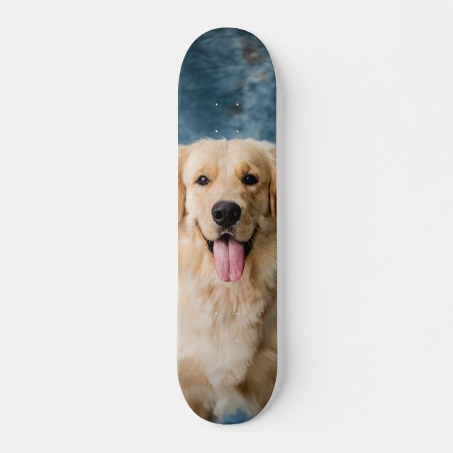 Skateboard Inteligente perro Labrador  (Vorne)