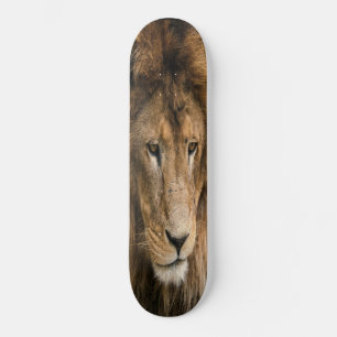 Skateboard kraftvoll gebaut LION