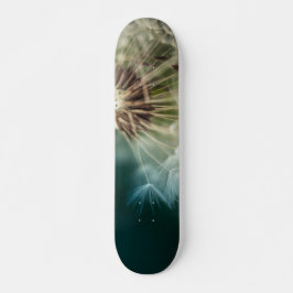 Skateboard - Kronleuchter Saatgut