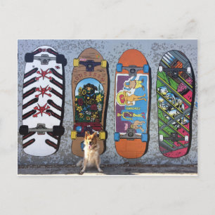 Skateboard-Landschaft für Hunde Postkarte