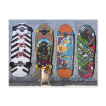 Skateboard-Landschaft für Hunde