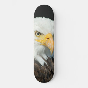 Skateboard - Natur Vogel Adler