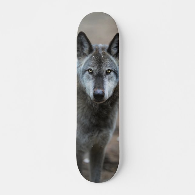 Skateboard Perro lobo salvaje depredador curioso (Vorne)