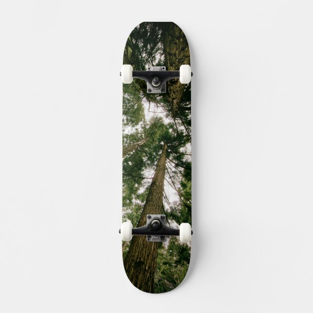 Skateboard Perspective Forest (Vorderseite)