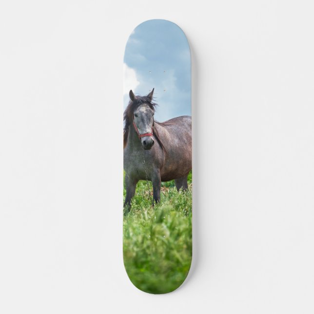 Skateboard Poderoso caballo gris en el campo (Vorne)