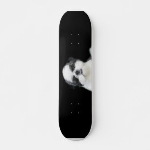 Skateboard Shih Tzu