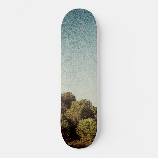 Skateboard-Stil und Design Skateboard (Vorderseite)
