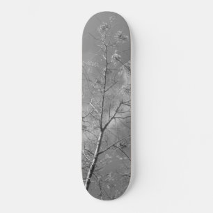 Skateboard-Stil und Design Skateboard