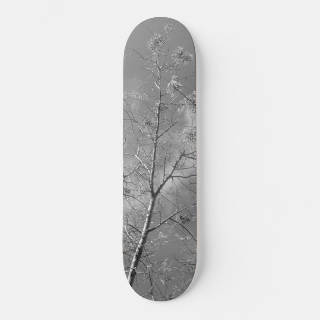 Skateboard-Stil und Design Skateboard (Vorderseite)