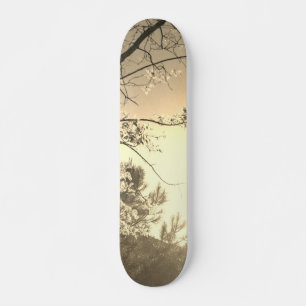 SKATEBOARD-STIL UND DESIGN SKATEBOARD