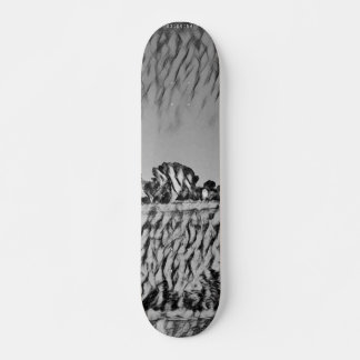 SKATEBOARD STYLE AND DESIGN