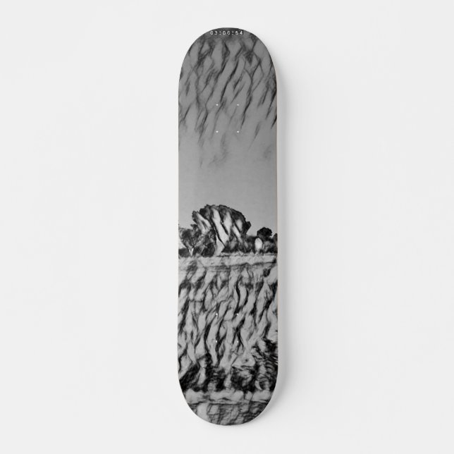 SKATEBOARD STYLE AND DESIGN (Vorne)