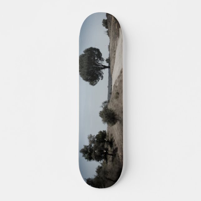 SKATEBOARD STYLE DESIGN (Vorne)