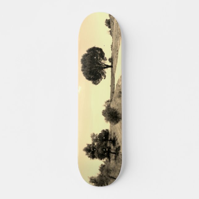 SKATEBOARD STYLE DESIGN (Vorne)