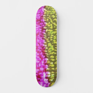 SKATEBOARD STYLE UND DESIGN