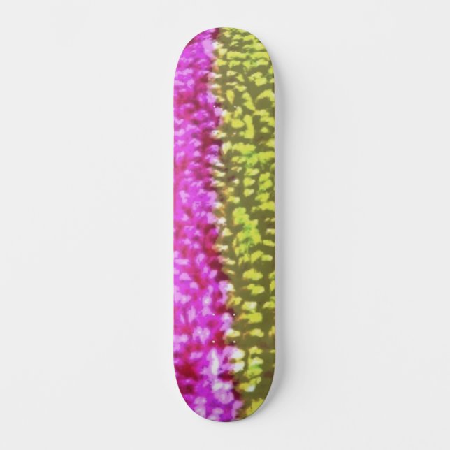 SKATEBOARD STYLE UND DESIGN (Vorderseite)