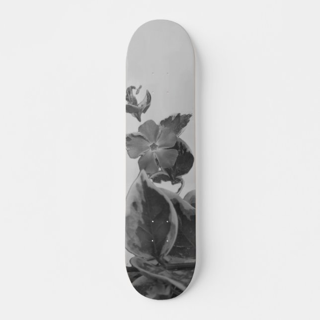 SKATEBOARD STYLE UND DESIGN (Vorne)