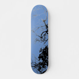 SKATEBOARD STYLE UND DESIGN