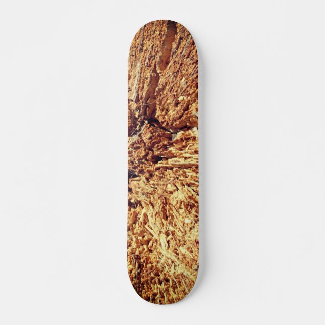 SKATEBOARD STYLE UND DESIGN (Vorne)