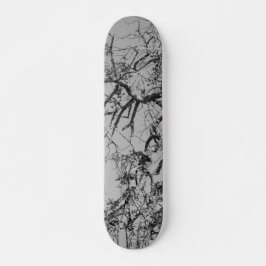 SKATEBOARD STYLE UND DESIGN