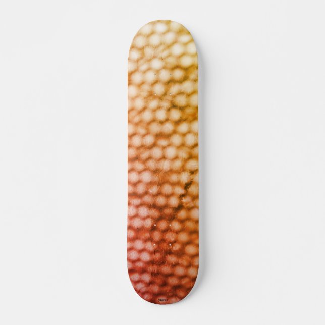 SKATEBOARD STYLE UND DESIGN (Vorne)