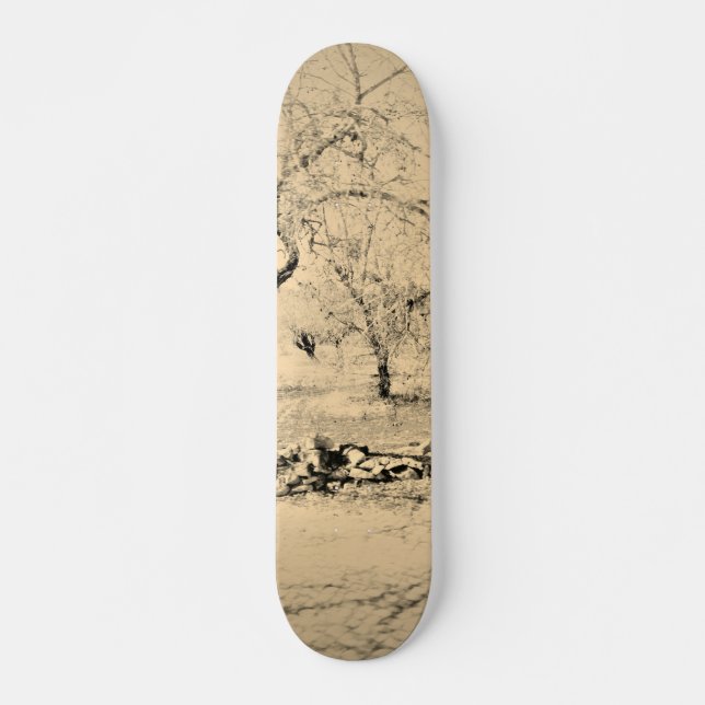 SKATEBOARD STYLE UND DESIGN (Vorne)