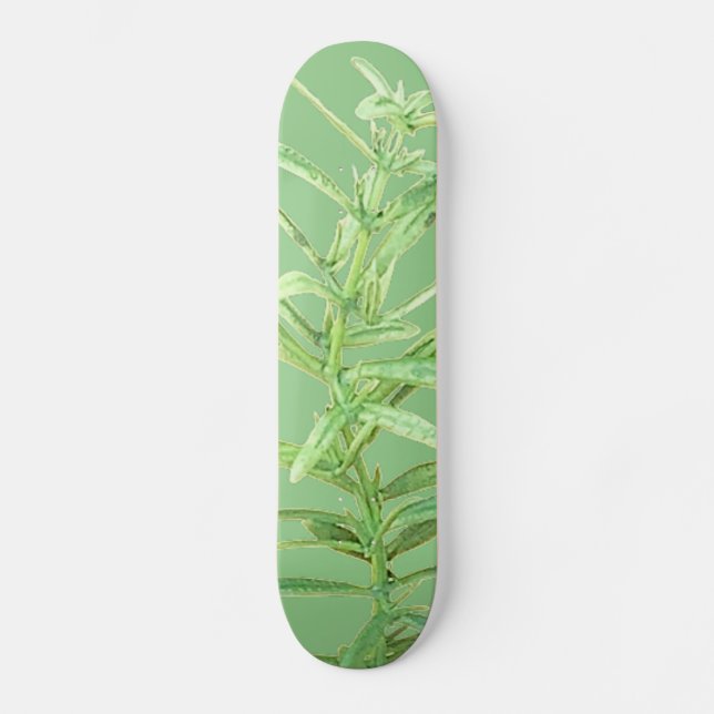 SKATEBOARD STYLE UND DESIGN (Vorderseite)