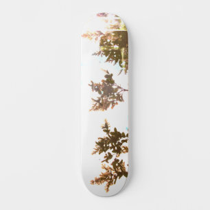 SKATEBOARD STYLE UND DESIGN