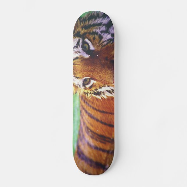 Skateboard-Tiger Skateboard (Vorderseite)