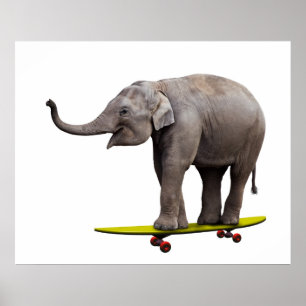 Skateboarding Elefant Poster