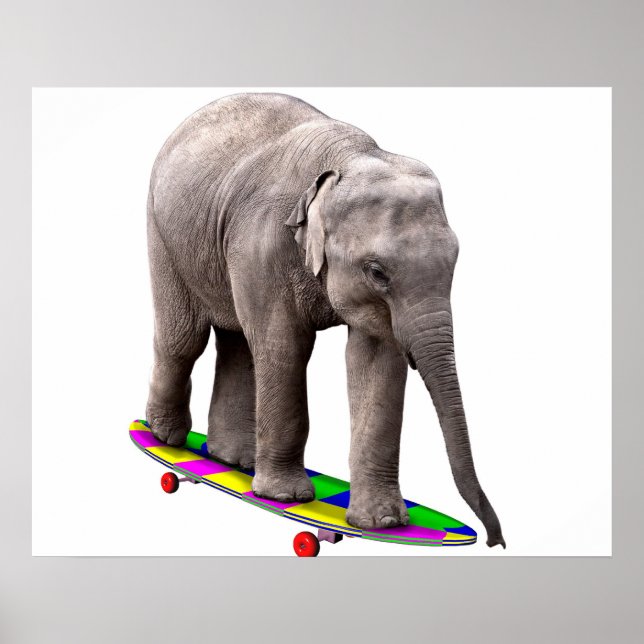 Skateboarding Elefant Poster (Vorne)