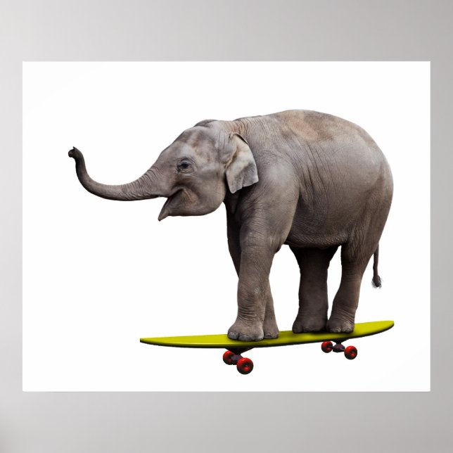 Skateboarding Elefant Poster (Vorne)