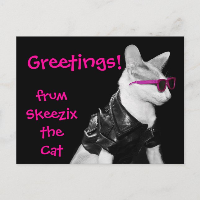 Skeezix the Cat Postcard Postkarte (Vorderseite)