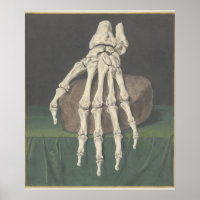 Skelet van een hand von Jan l Admiral
