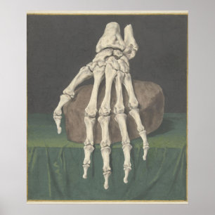 Skelet van een hand von Jan l Admiral Poster