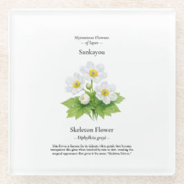 Skeleton-Blumen-Untersetzer – Diphylleia grayi Glasuntersetzer