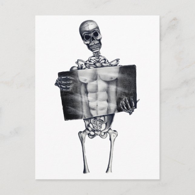 Skeleton Chest Xray White Postcard Postkarte (Vorderseite)