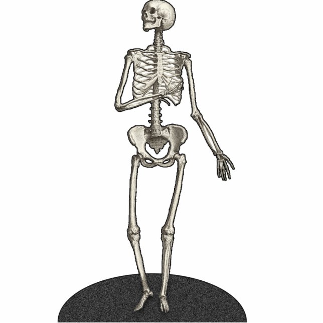 Skeleton Cutout Fotoskulptur 12x18 (Vorne)