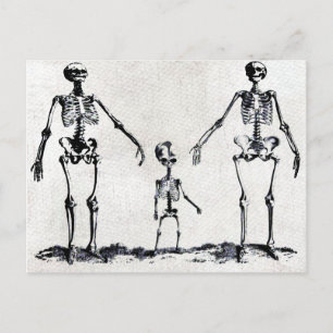 Skeleton Family Postcard Postkarte